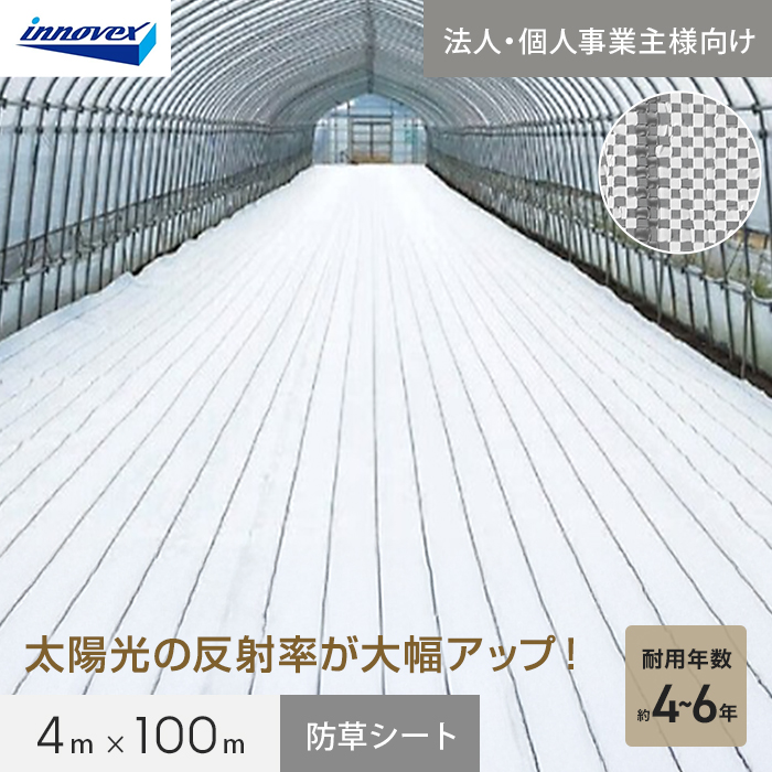 【法人・個人事業主様専用】イノベックス 防草シート ダイオグランドシート α ホワイト 1516OW 4m×100m