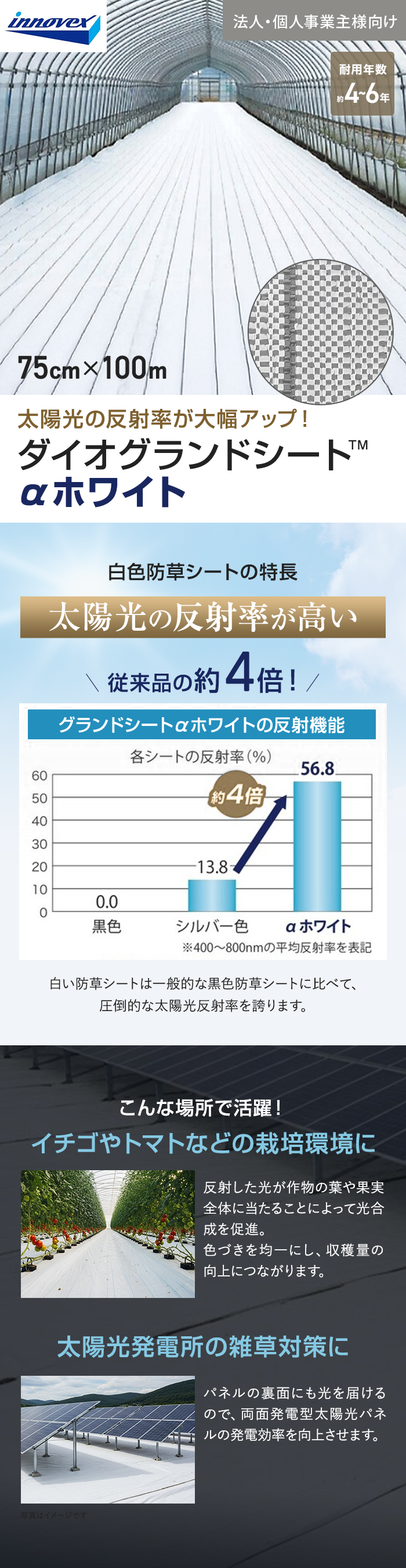 【法人・個人事業主様専用】イノベックス 防草シート ダイオグランドシート α ホワイト 1516OW 0.75m×100m