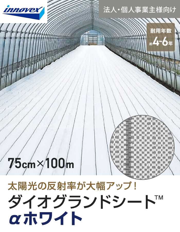 【法人・個人事業主様専用】イノベックス 防草シート ダイオグランドシート α ホワイト 1516OW 0.75m×100m