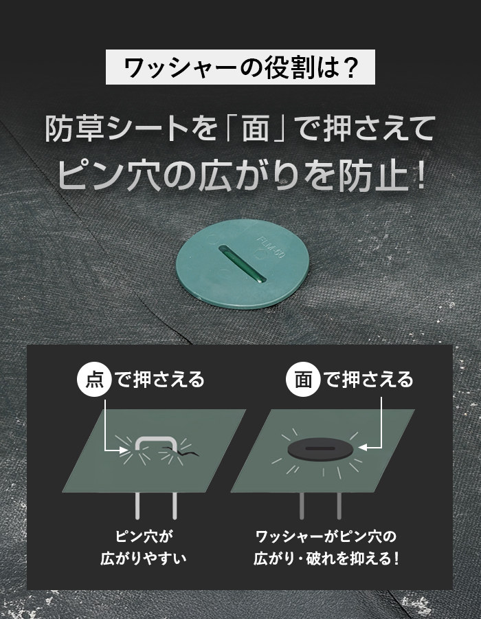 防草シート ピン フラットピン 50本入 イノベックス