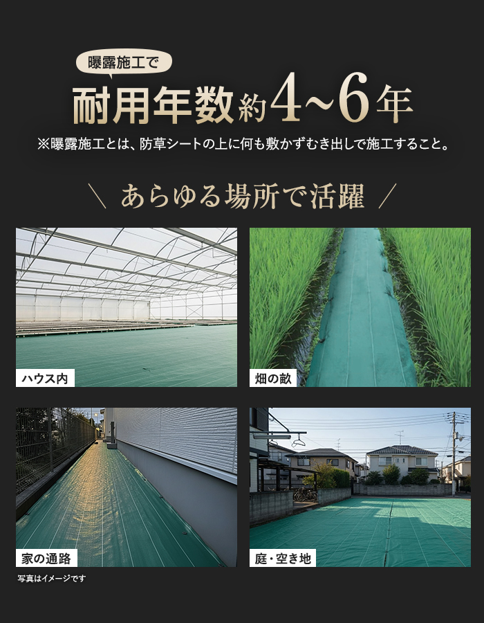 耐用年数約4~6年