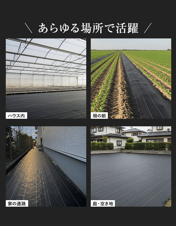 あらゆる場所で活躍