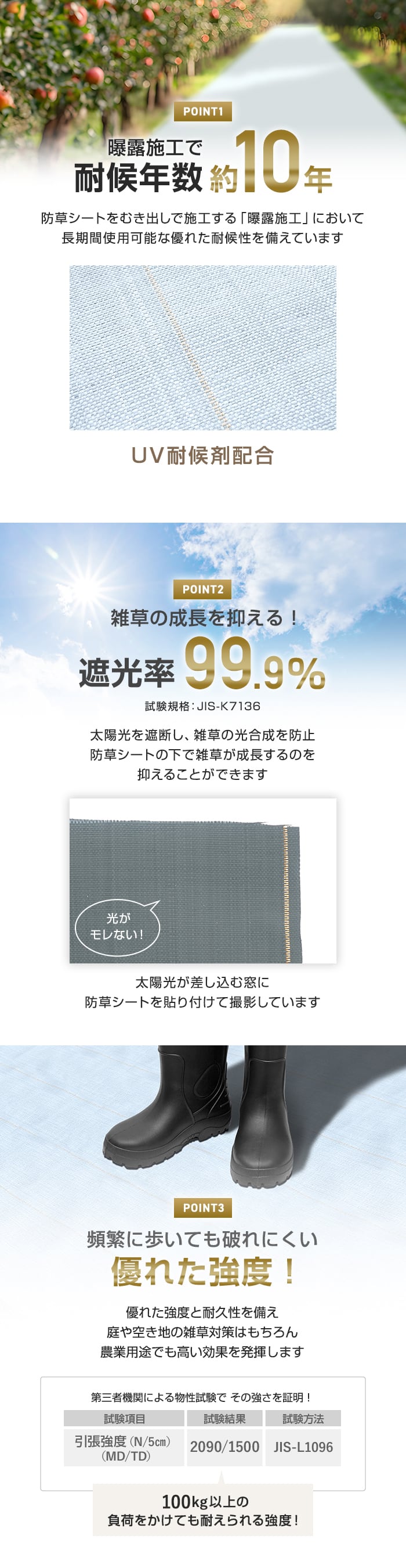 耐候年数約10年