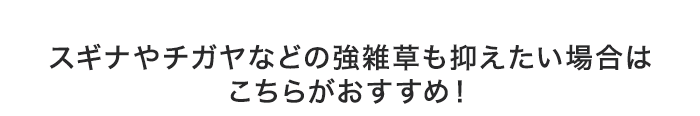 ・スギナやチガヤなどの強雑草も抑えたい場合はこちらがおすすめ