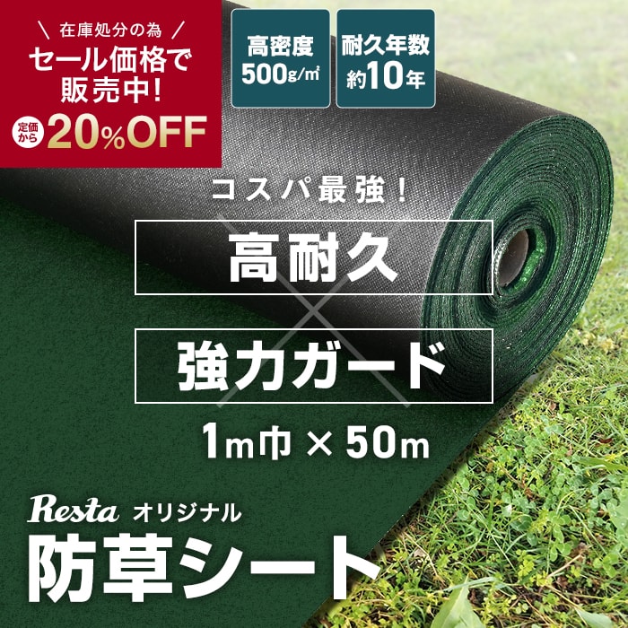 オンライン限定商品】 PPテープ 1.6ｍｍ厚 20ｍｍ巾 50ｍ巻 平織