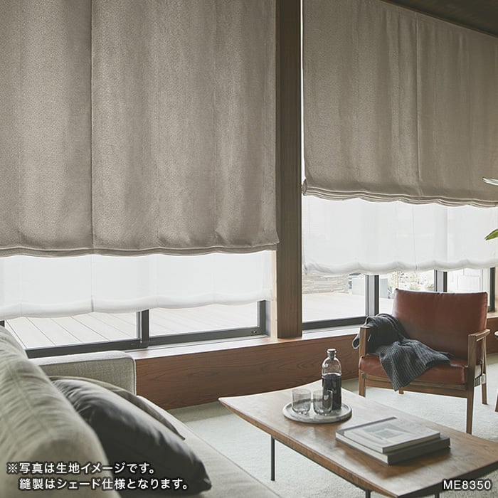 カーテン シェード 川島織物セルコン ROOM FOR TWO FT6320