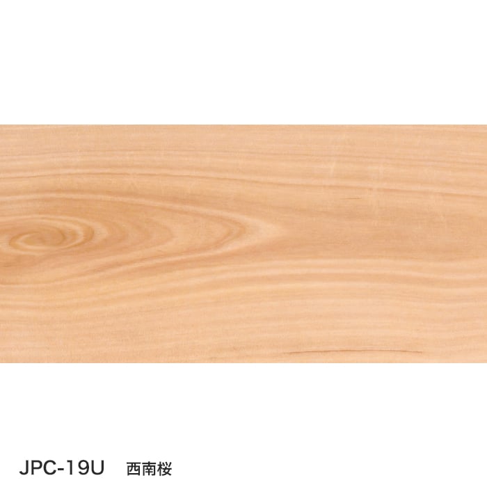 color chip