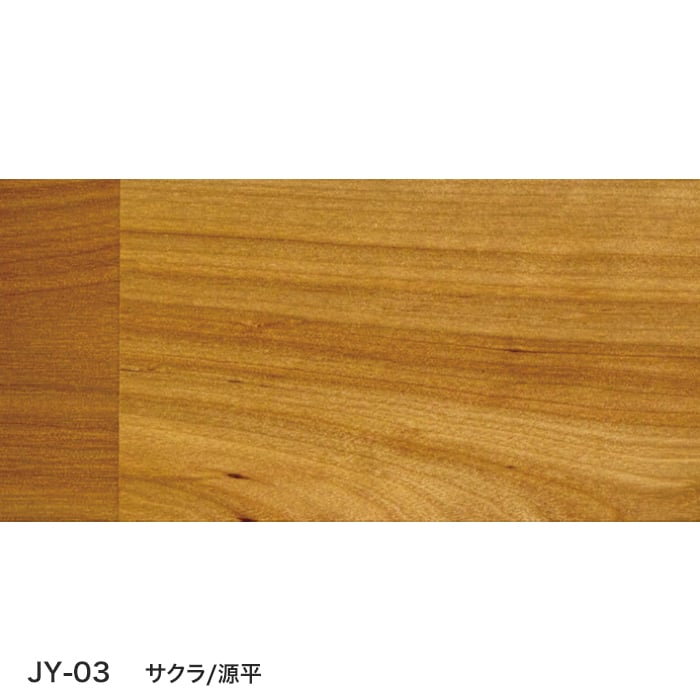 color chip