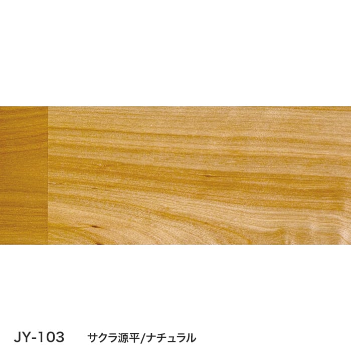color chip