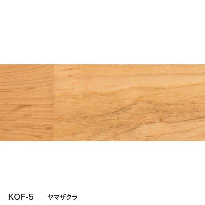 color chip