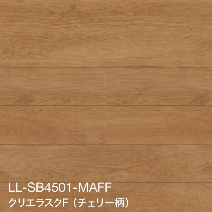LL-SB4501-MAFF