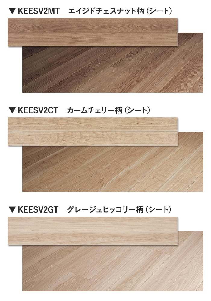 カラーラインナップ