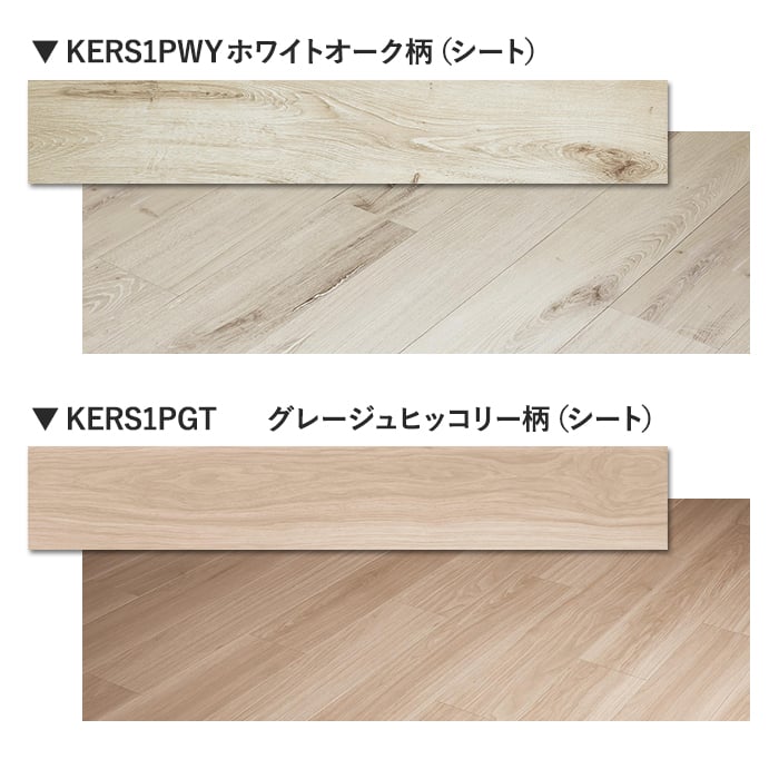 カラーラインナップ