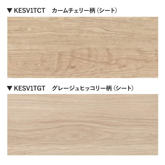 カラーラインナップ