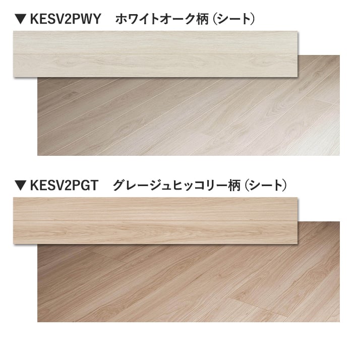 カラーラインナップ