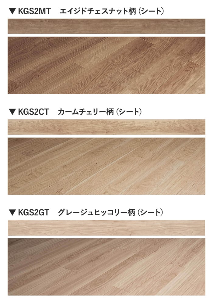 カラーラインナップ
