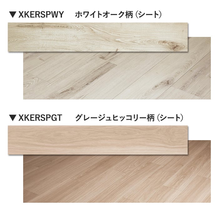 カラーラインナップ