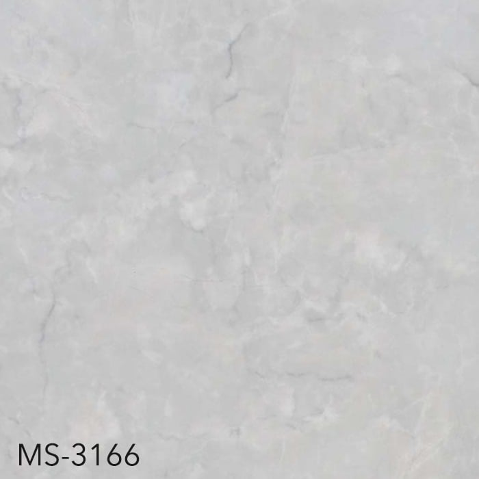 MS-3166