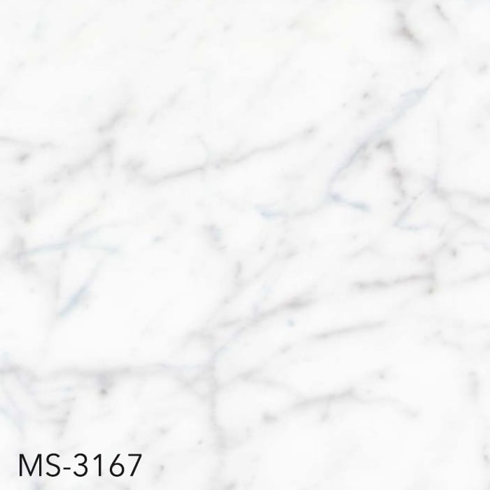 MS-3167