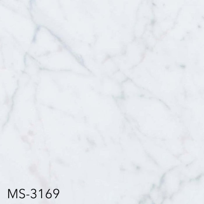 MS-3169