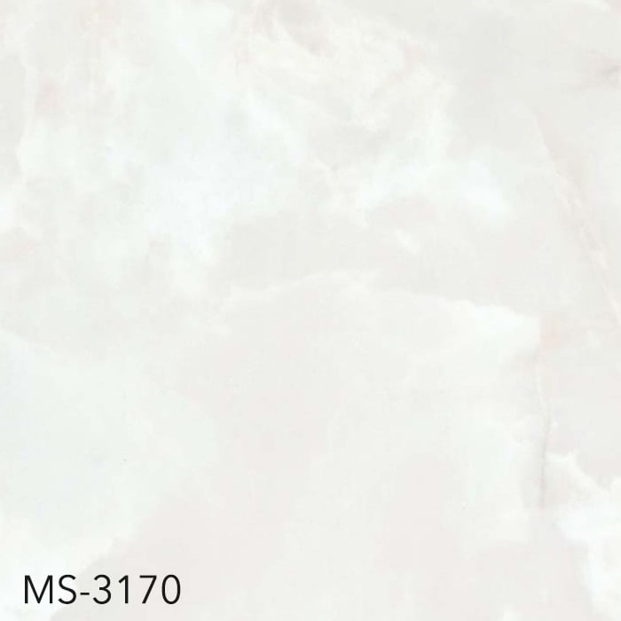 MS-3170