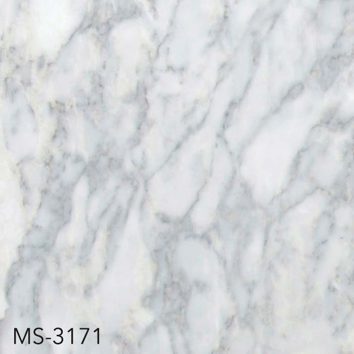 MS-3171
