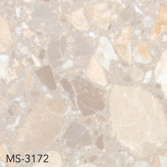 MS-3172