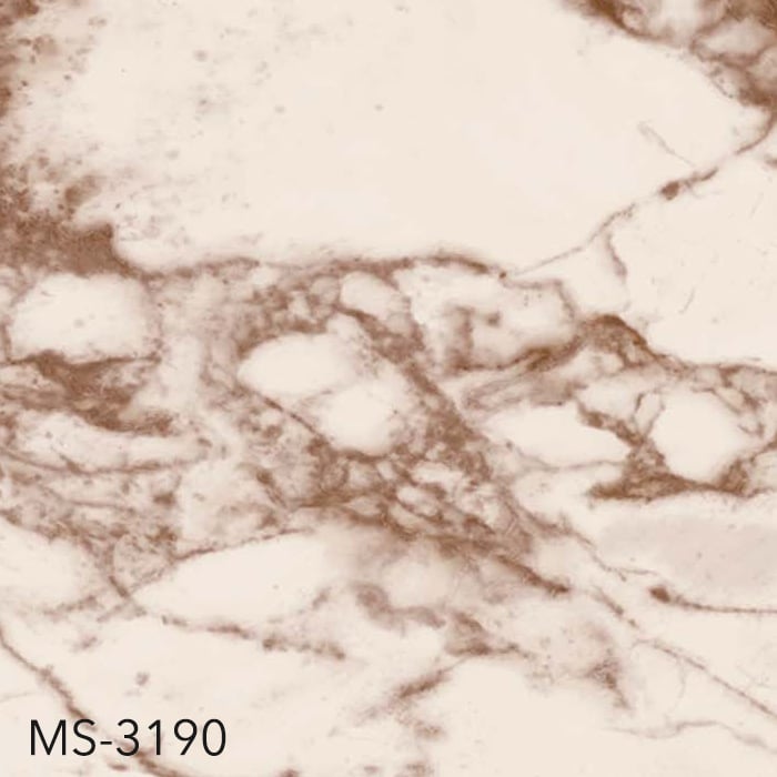 MS-3190