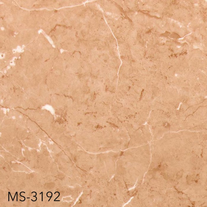 MS-3192