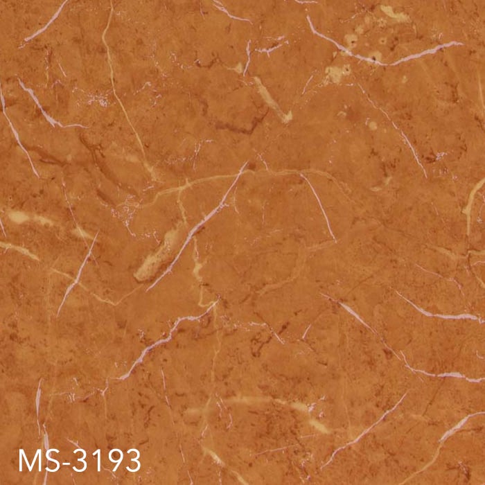 MS-3193
