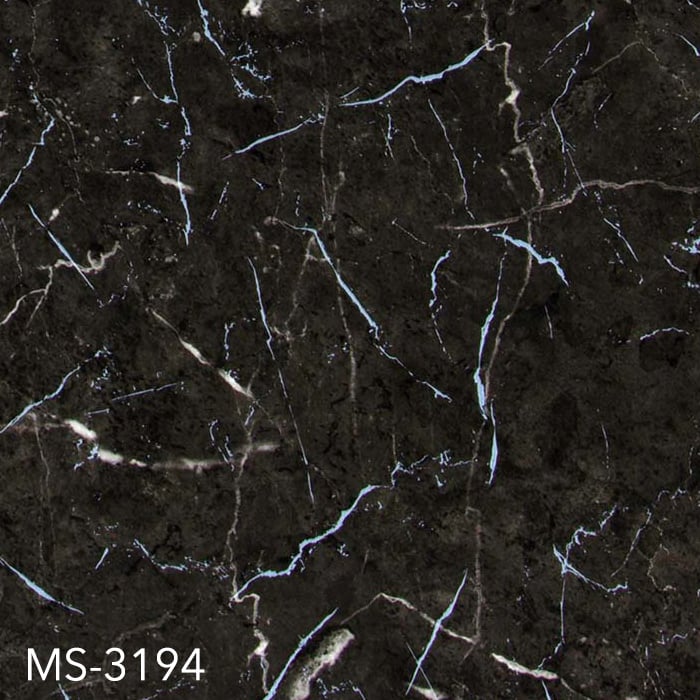 MS-3194