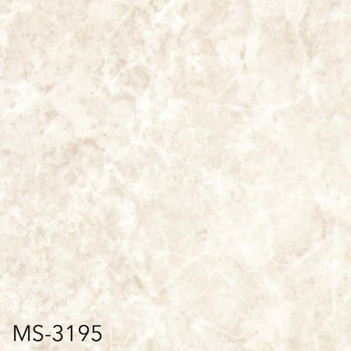 MS-3195