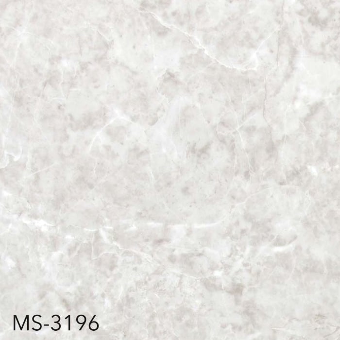 MS-3196