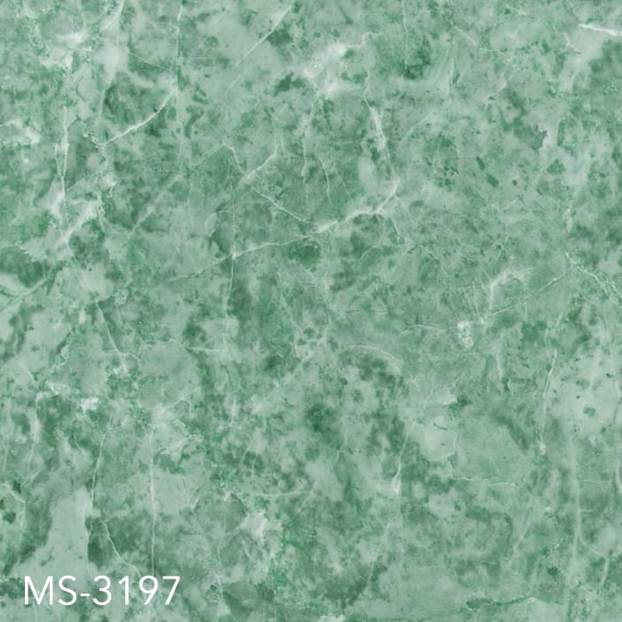 MS-3197