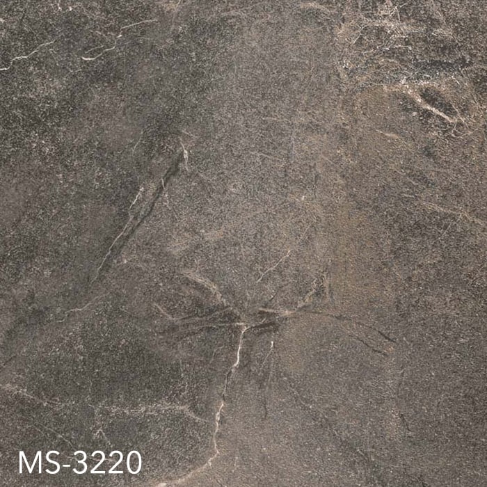 MS-3220