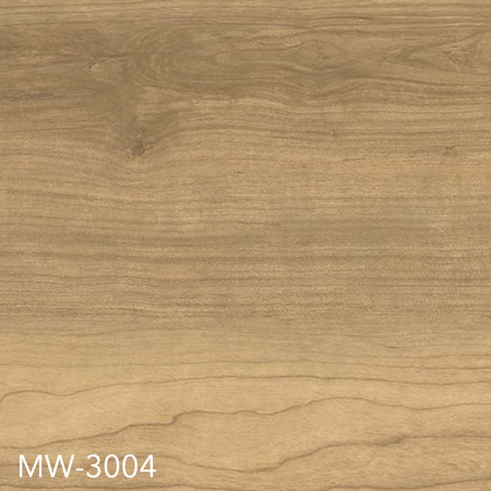 MW-3004