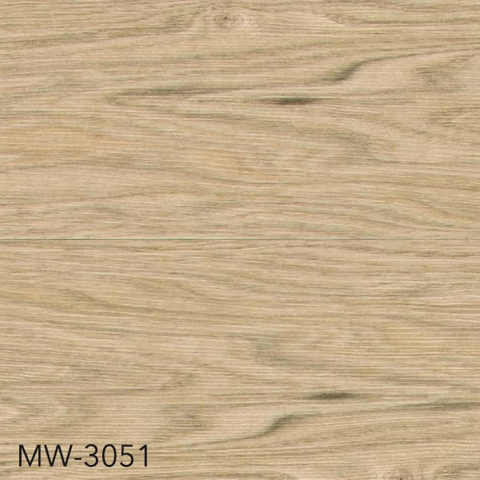 MW-3051