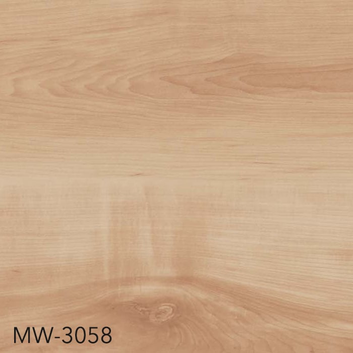 MW-3058