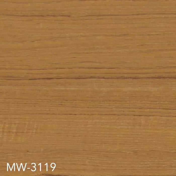 MW-3119