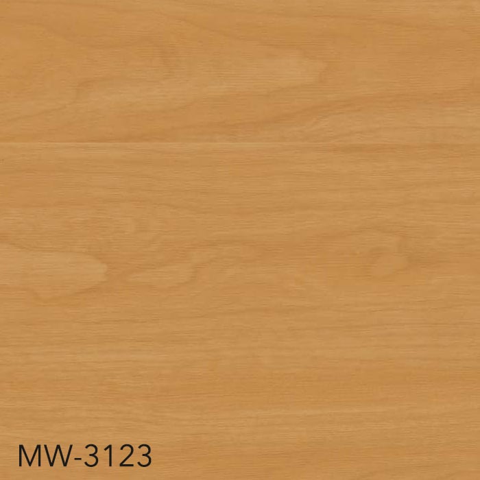 MW-3123