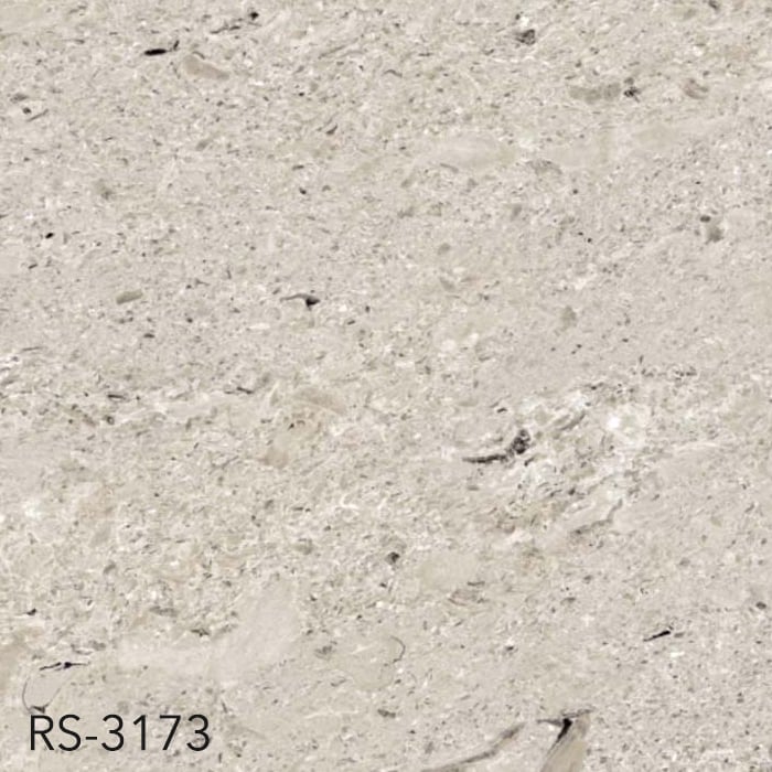 RS-3173