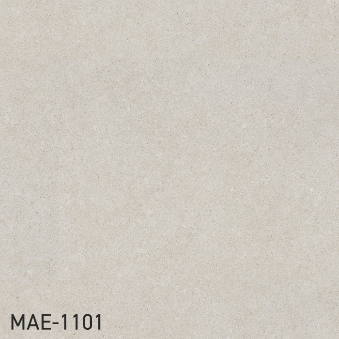 MAE-1101