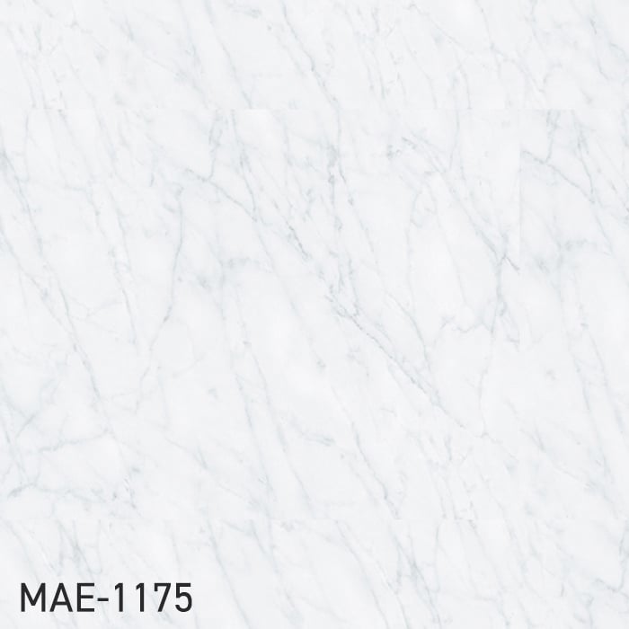 MAE-1175