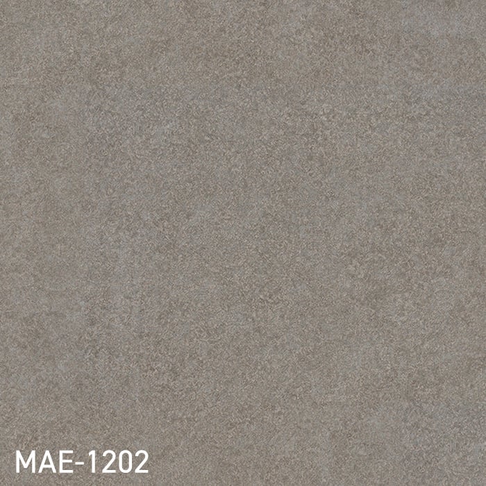 MAE-1202