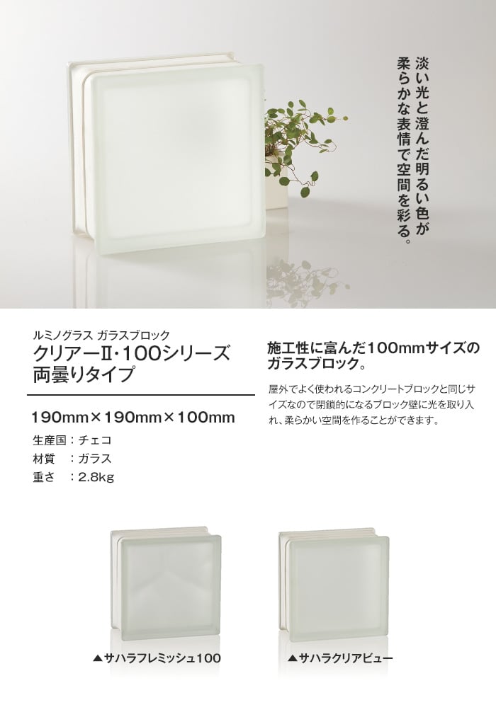 ルミノグラス ガラスブロック クリアーII・100シリーズ (両曇りタイプ) 【4個入】