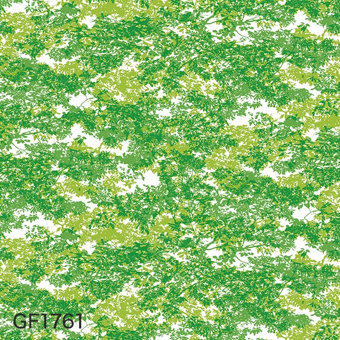 gf1761