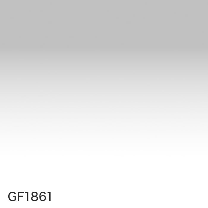 gf1861