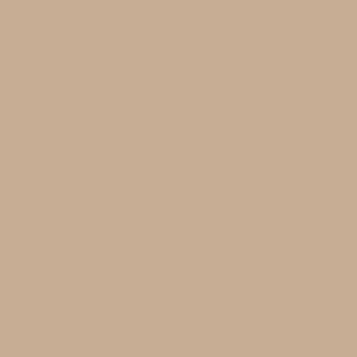 color chip