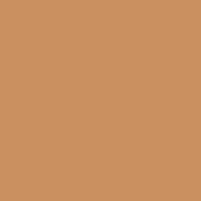 color chip