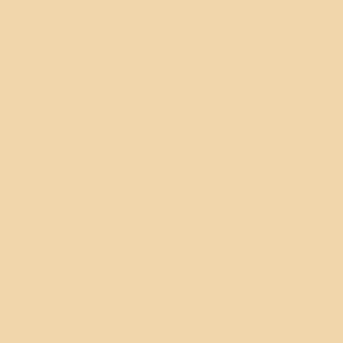 color chip